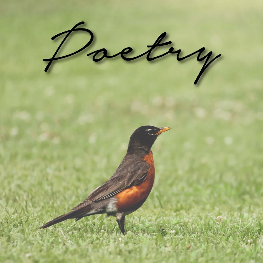 Poetry